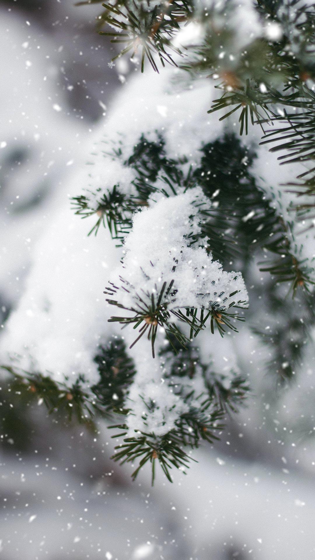 Snowfall 2