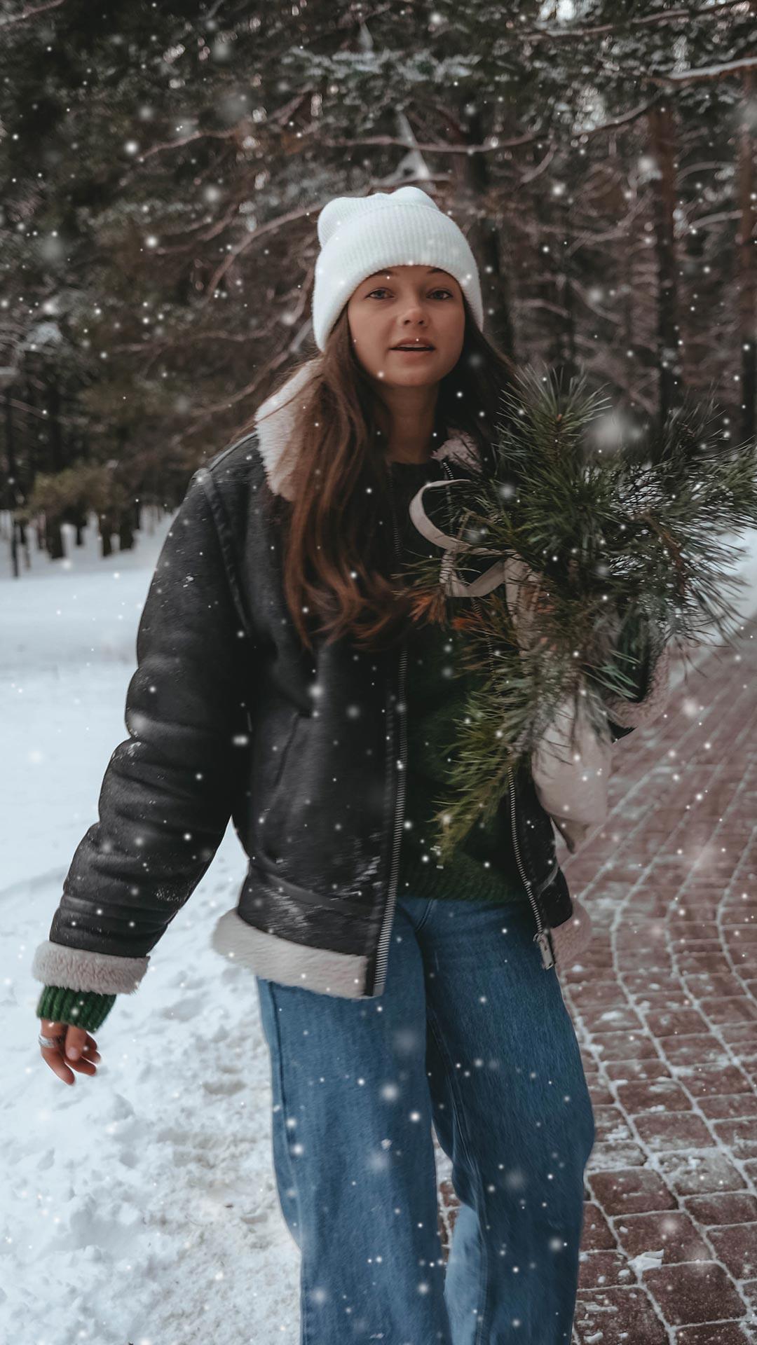 Snowfall 3